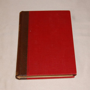 Punaisten puolesta - valkoisia vastaan